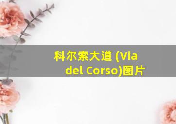 科尔索大道 (Via del Corso)图片